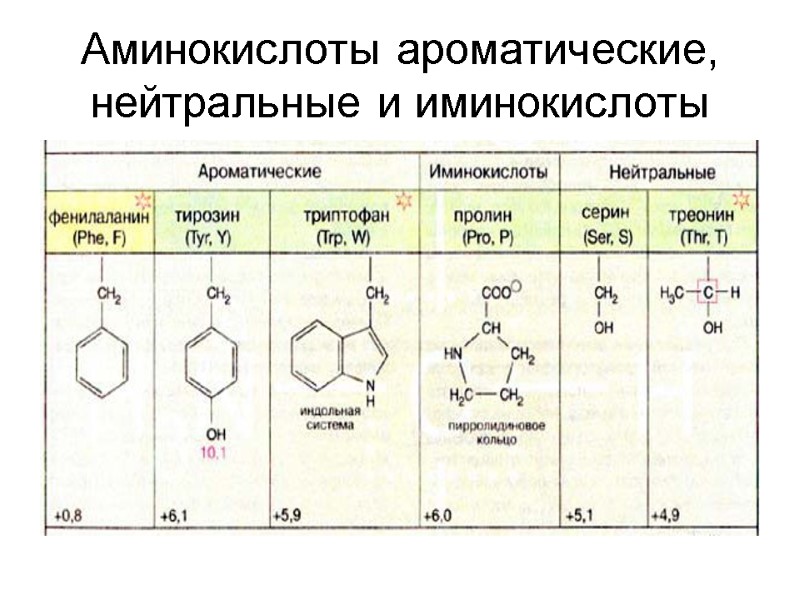 Аминокислоты ароматические, нейтральные и иминокислоты